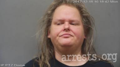 Tonya Ahonen  Arrest Photo