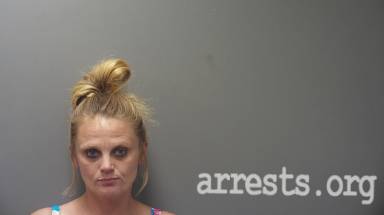 Heather Chapman  Arrest Photo