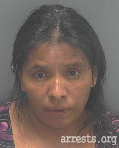 Maria Tomas  Arrest Photo