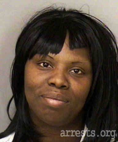Lisa Johnson  Arrest Photo