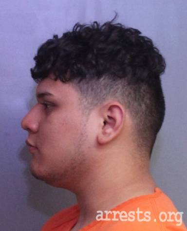 Julian Landeros  Arrest Photo