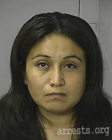 Rebeca Castro  Arrest Photo