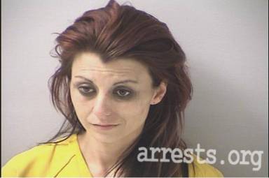Robyn Fair  Arrest Photo
