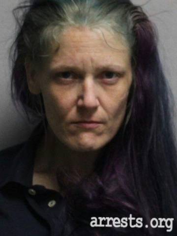Michelle Finley  Arrest Photo