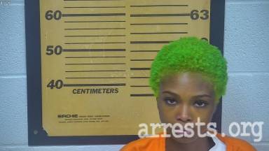Danielle Hamilton  Arrest Photo