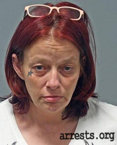Amy Adams  Arrest Photo