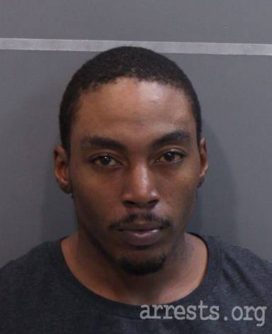 Shannon Fitzpatrick  Arrest Photo