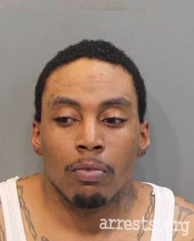 Shannon Fitzpatrick  Arrest Photo