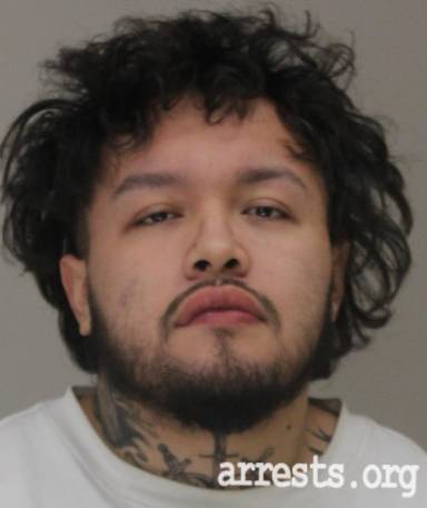 Ricardo Rubio  Arrest Photo