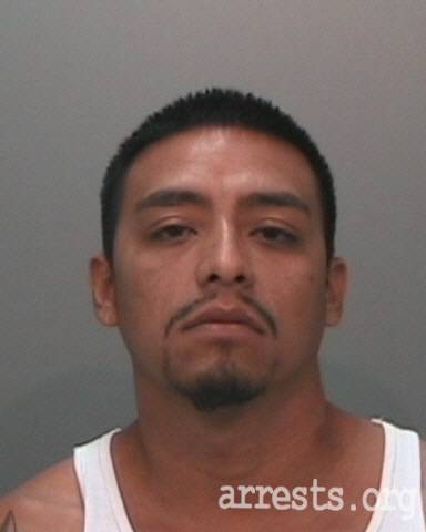 Stacy Rodriguez  Arrest Photo